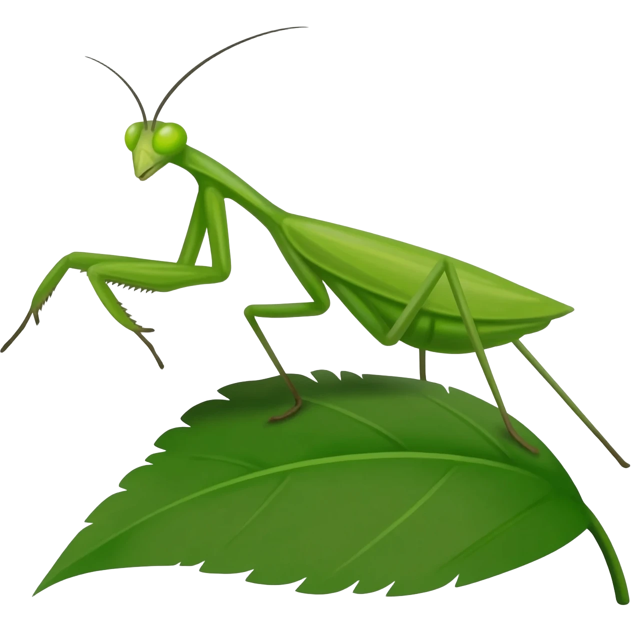 Praying mantis emoji