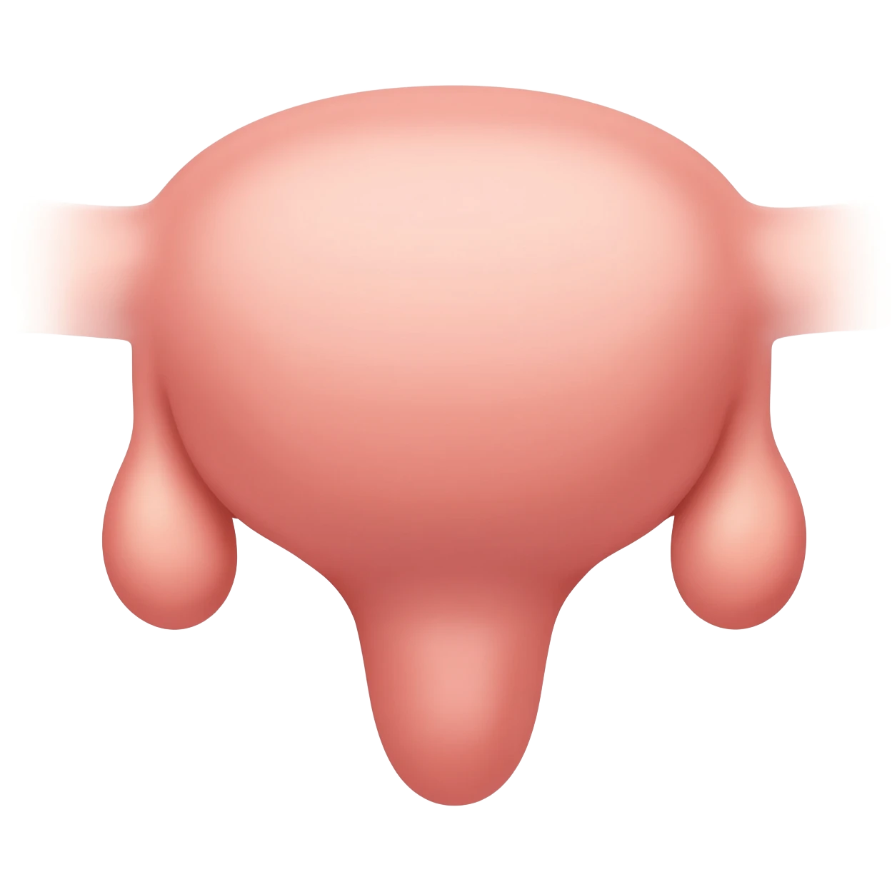 penis has two testicles. emoji