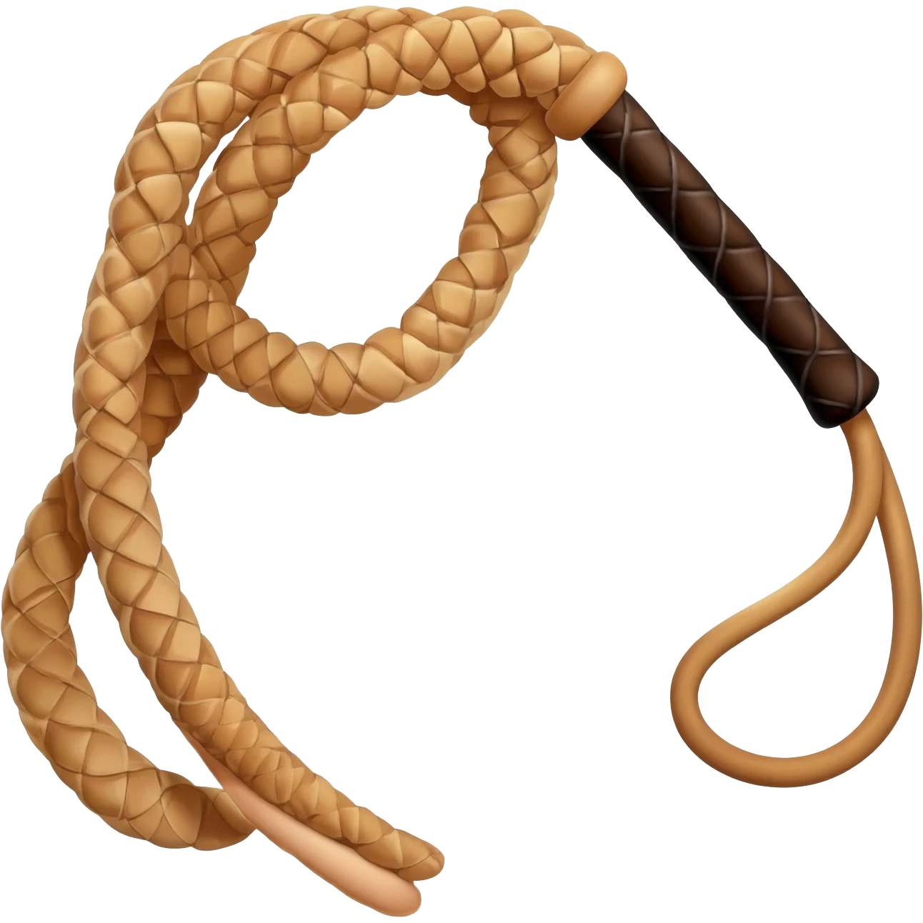brown whip emoji