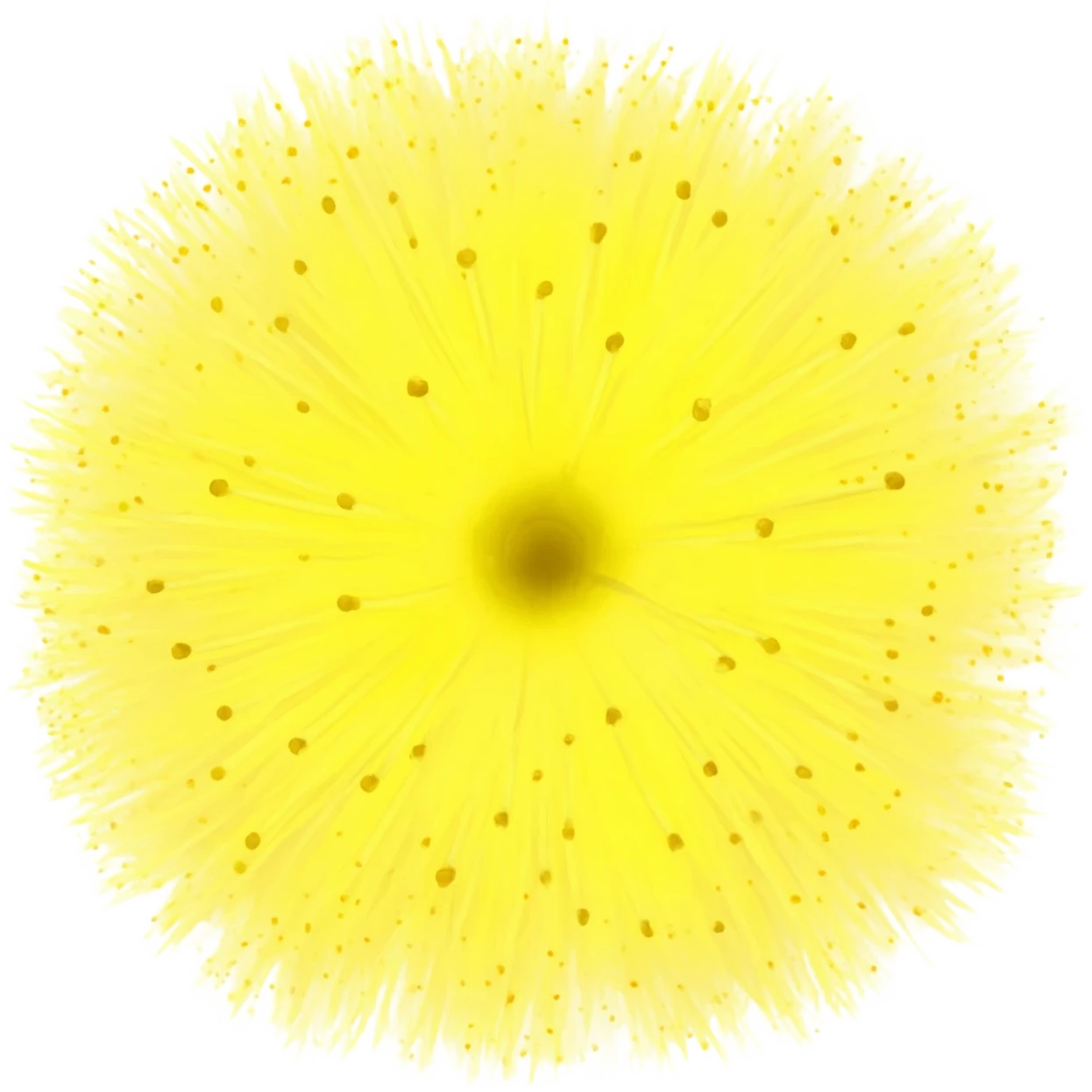Mimosa emoji