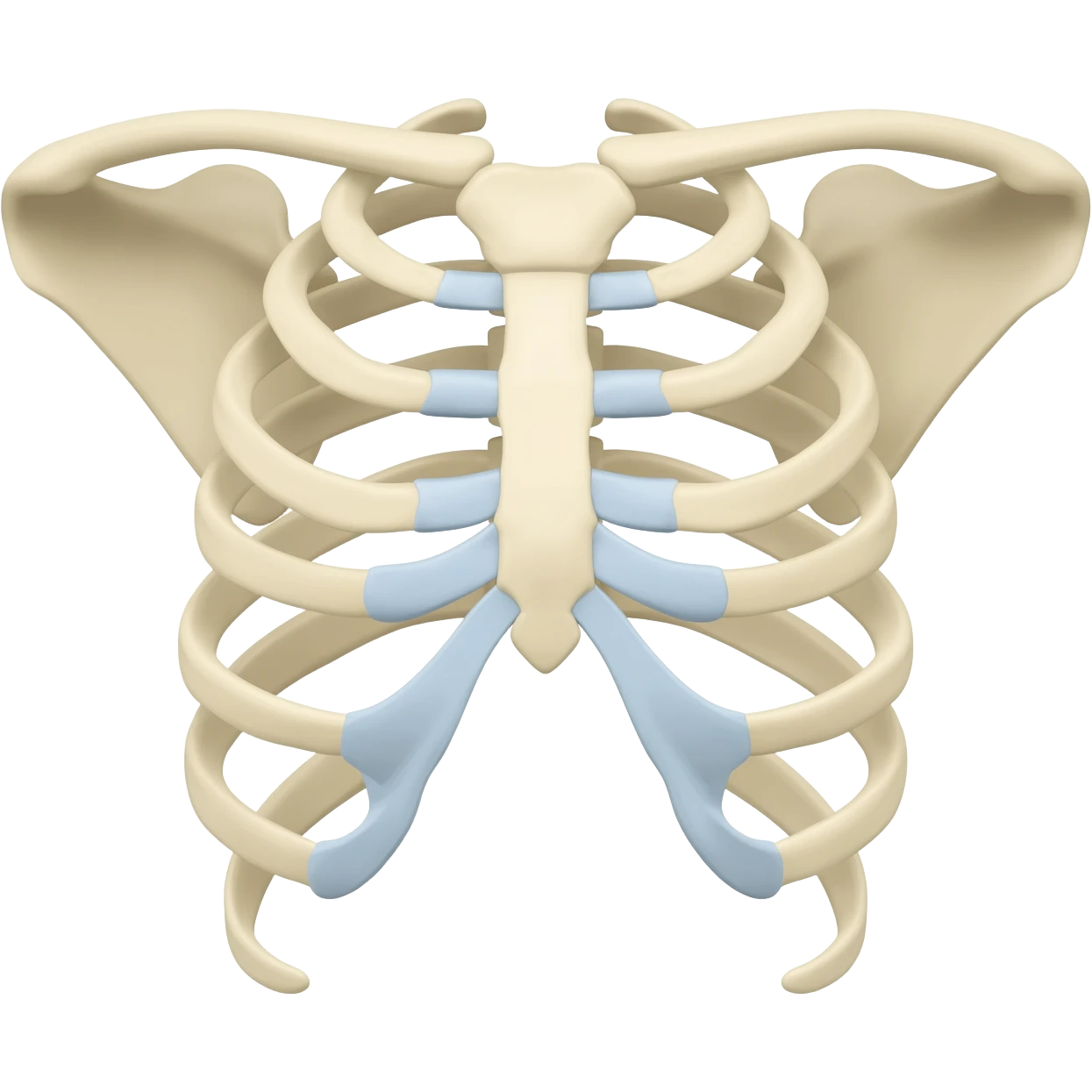vertebrae emoji