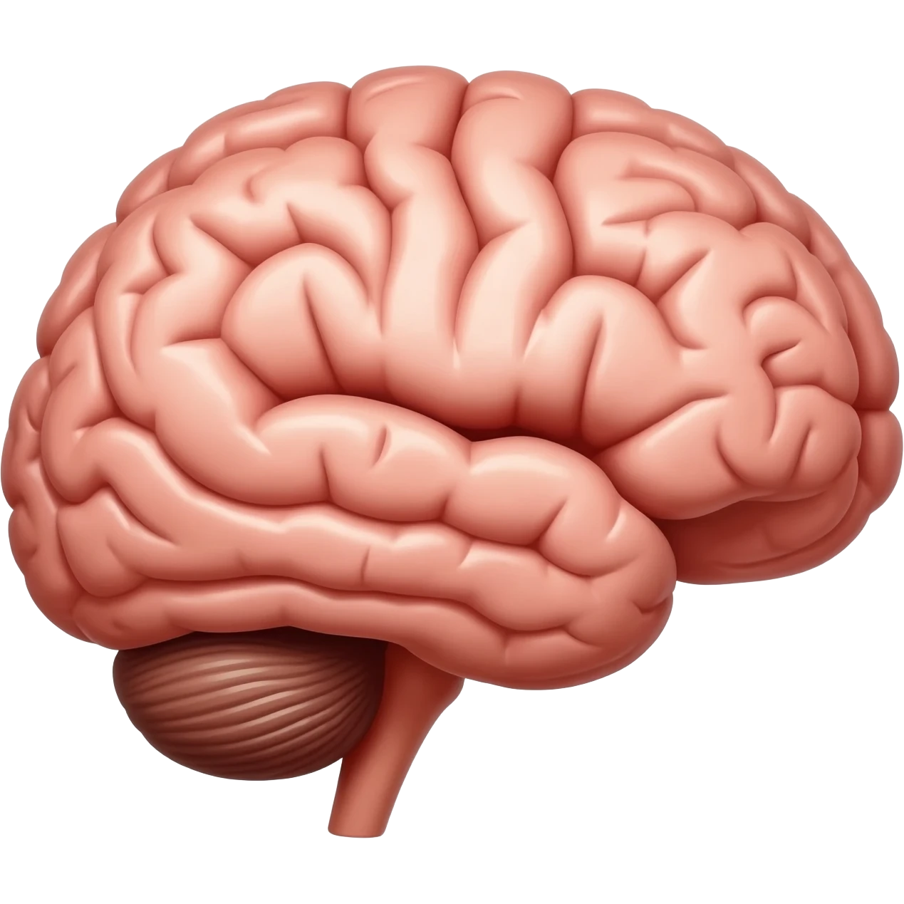 Créame una imagen de cerebro que sea muy real emoji