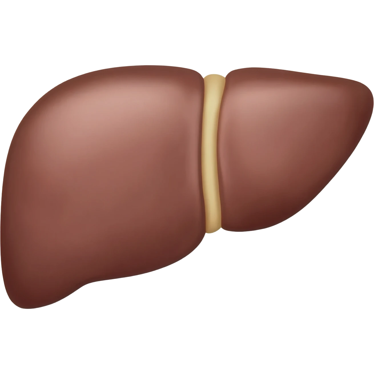 Liver emoji