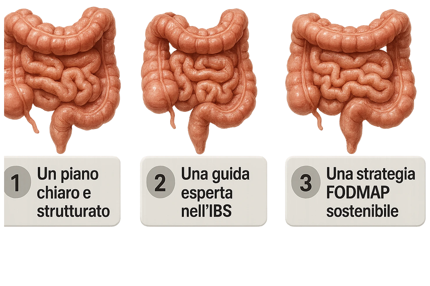 emoji stile iphone di 3 targhette numerate con intestino realistico davanti ad ogni targhetta, le targhette sono:
"1 – Un piano chiaro e strutturato
2 – Una guida esperta nell’IBS
3 – Una strategia FODMAP sostenibile"
, iperrealistico 4k emoji