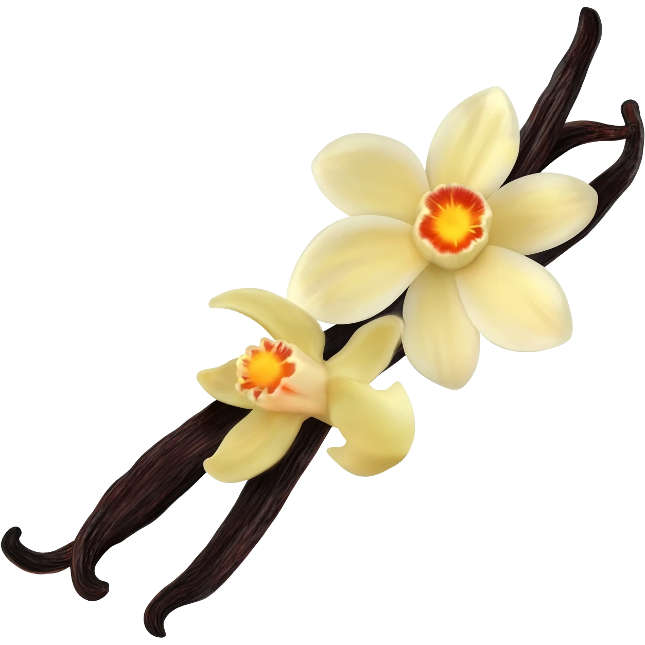 dark vanilla bean with the flower emoji