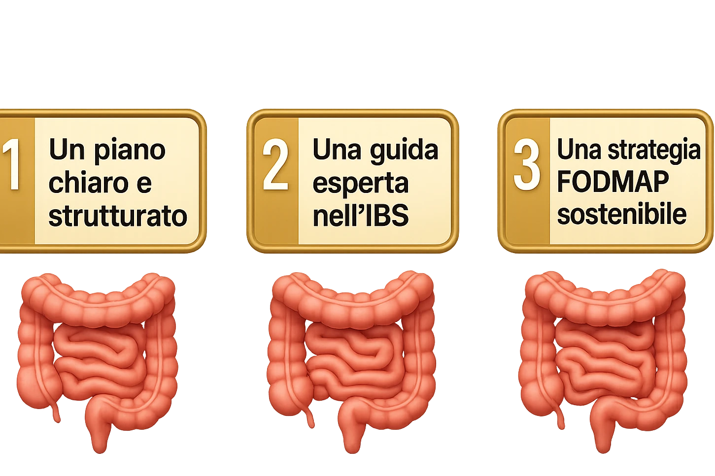 emoji stile iphone di 3 targhette numerate con intestino realistico davanti ad ogni targhetta, le targhette sono:
"1 – Un piano chiaro e strutturato
2 – Una guida esperta nell’IBS
3 – Una strategia FODMAP sostenibile"
, iperrealistico 4k emoji