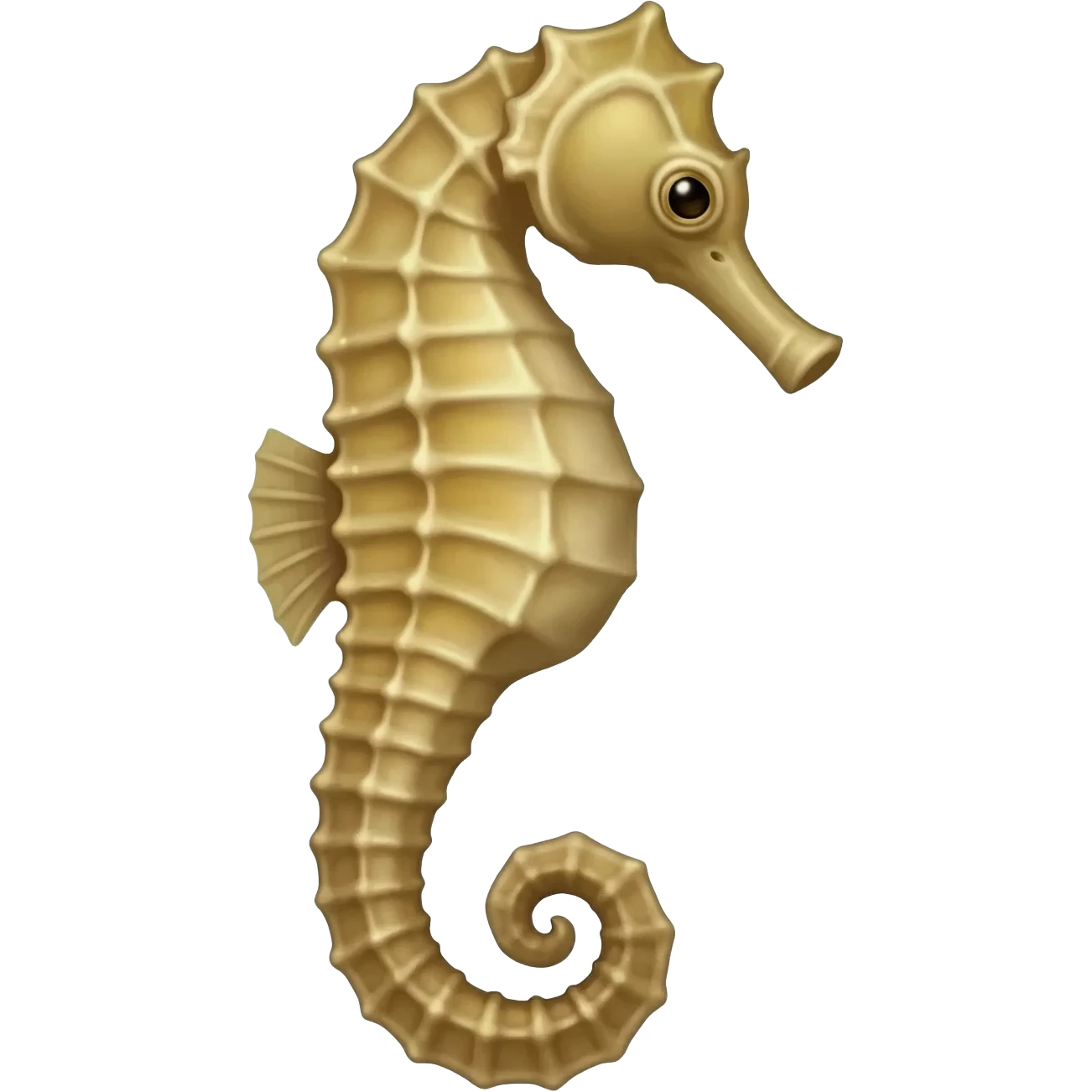 seahorses emoji