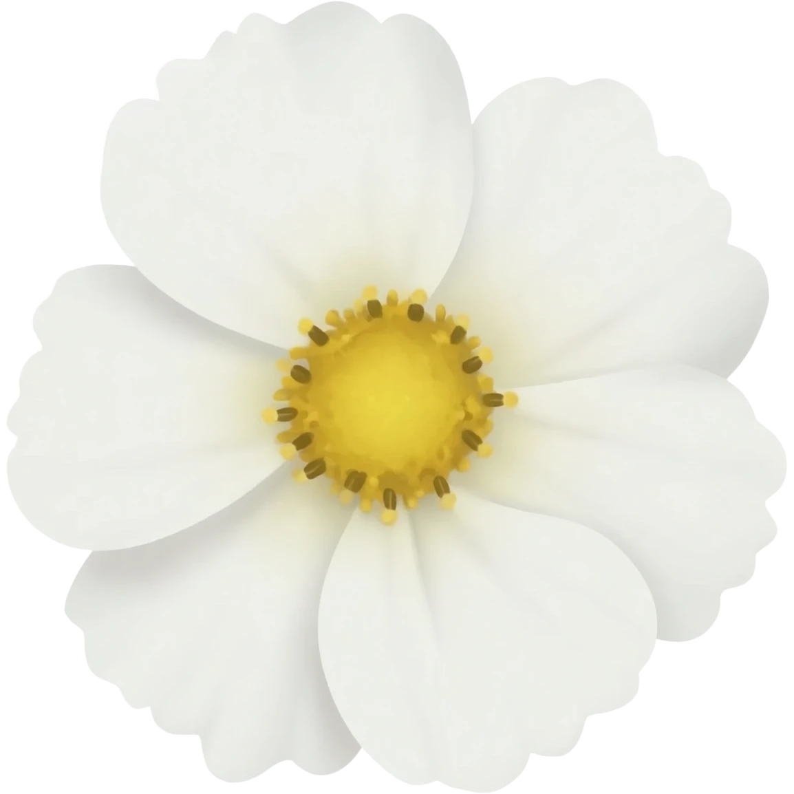 White flower emoji