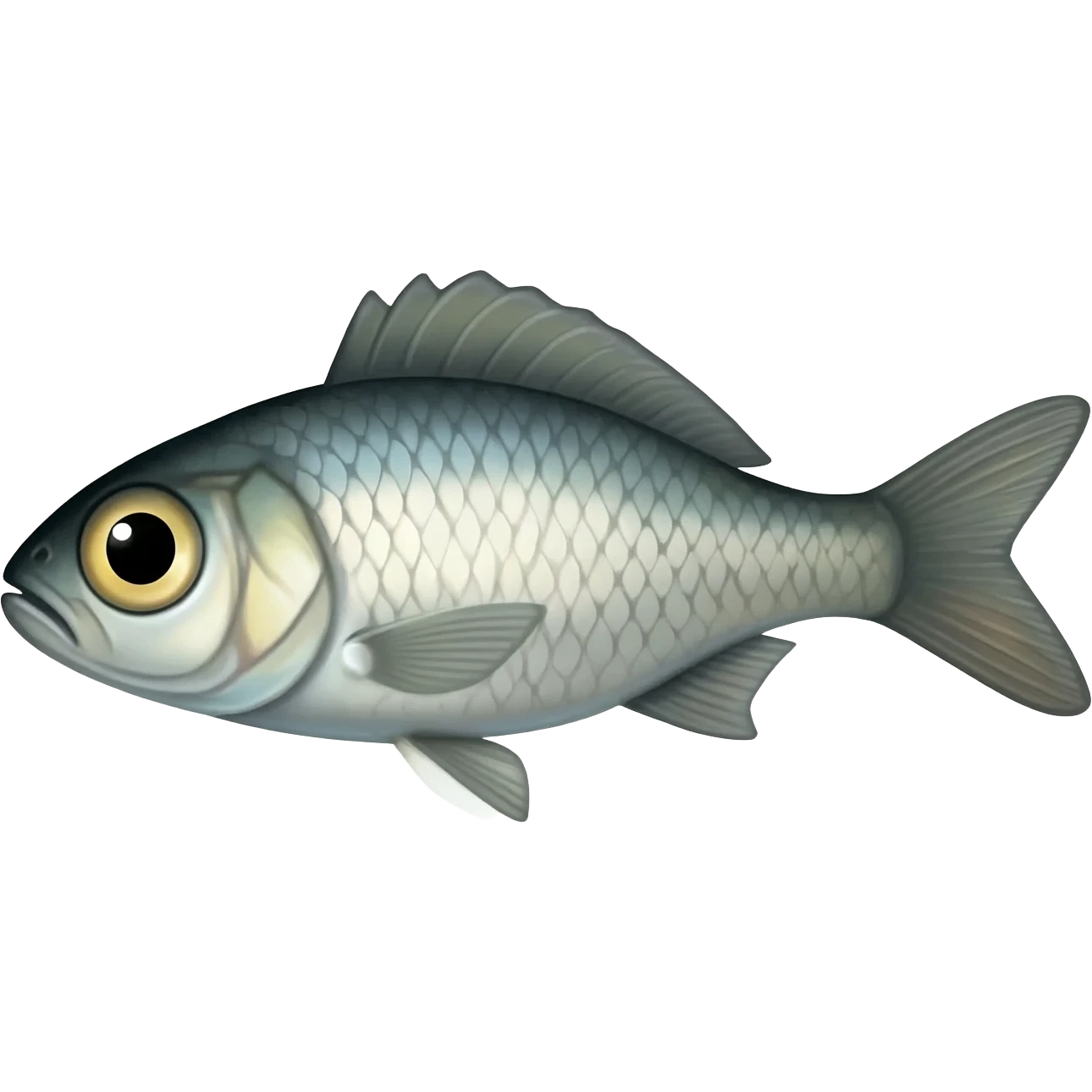 A. Fish   bate. Real   bot  not. Sante emoji