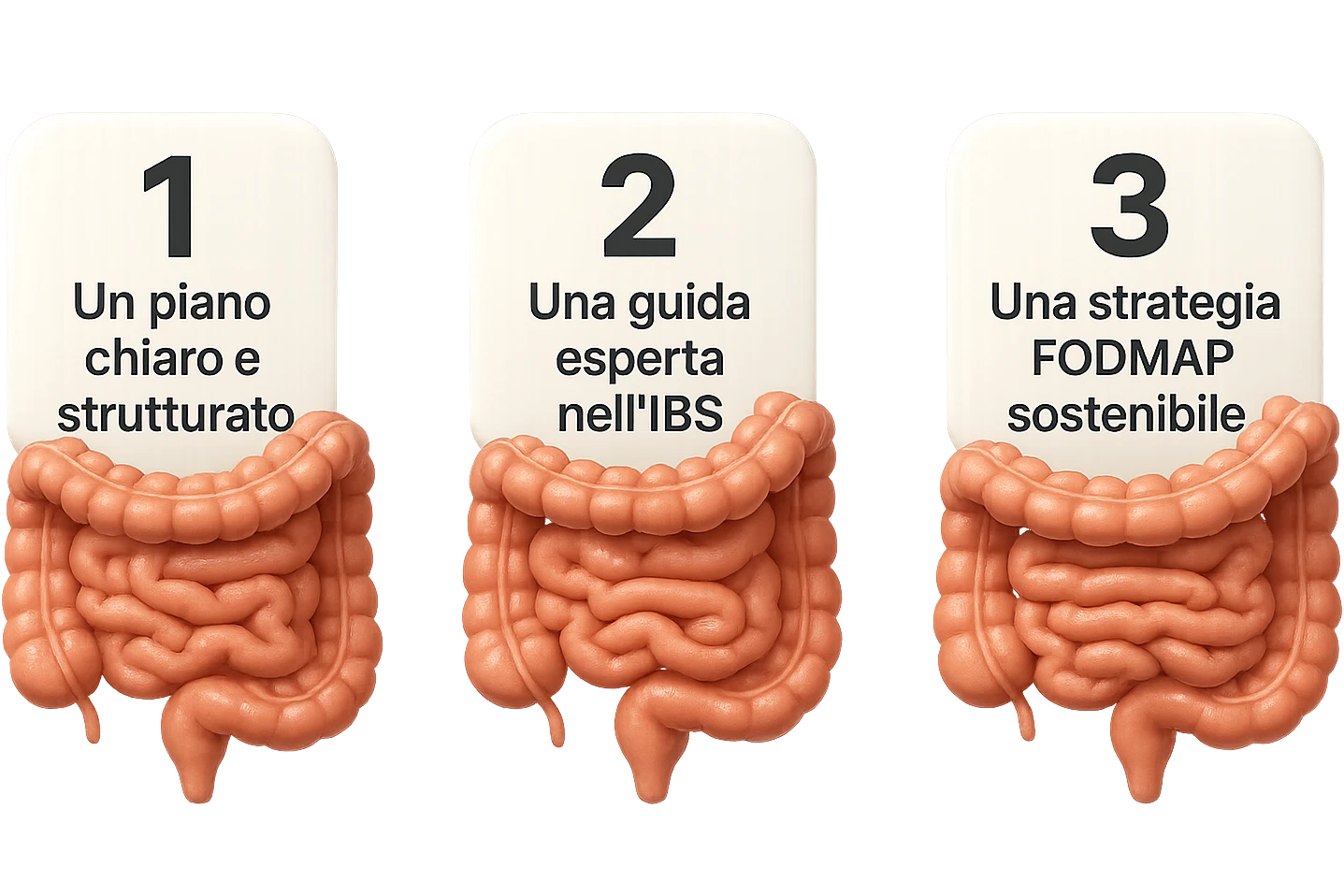 emoji stile iphone di 3 targhette numerate con intestino realistico davanti ad ogni targhetta, le targhette sono:
"1 – Un piano chiaro e strutturato
2 – Una guida esperta nell’IBS
3 – Una strategia FODMAP sostenibile"
, iperrealistico 4k emoji