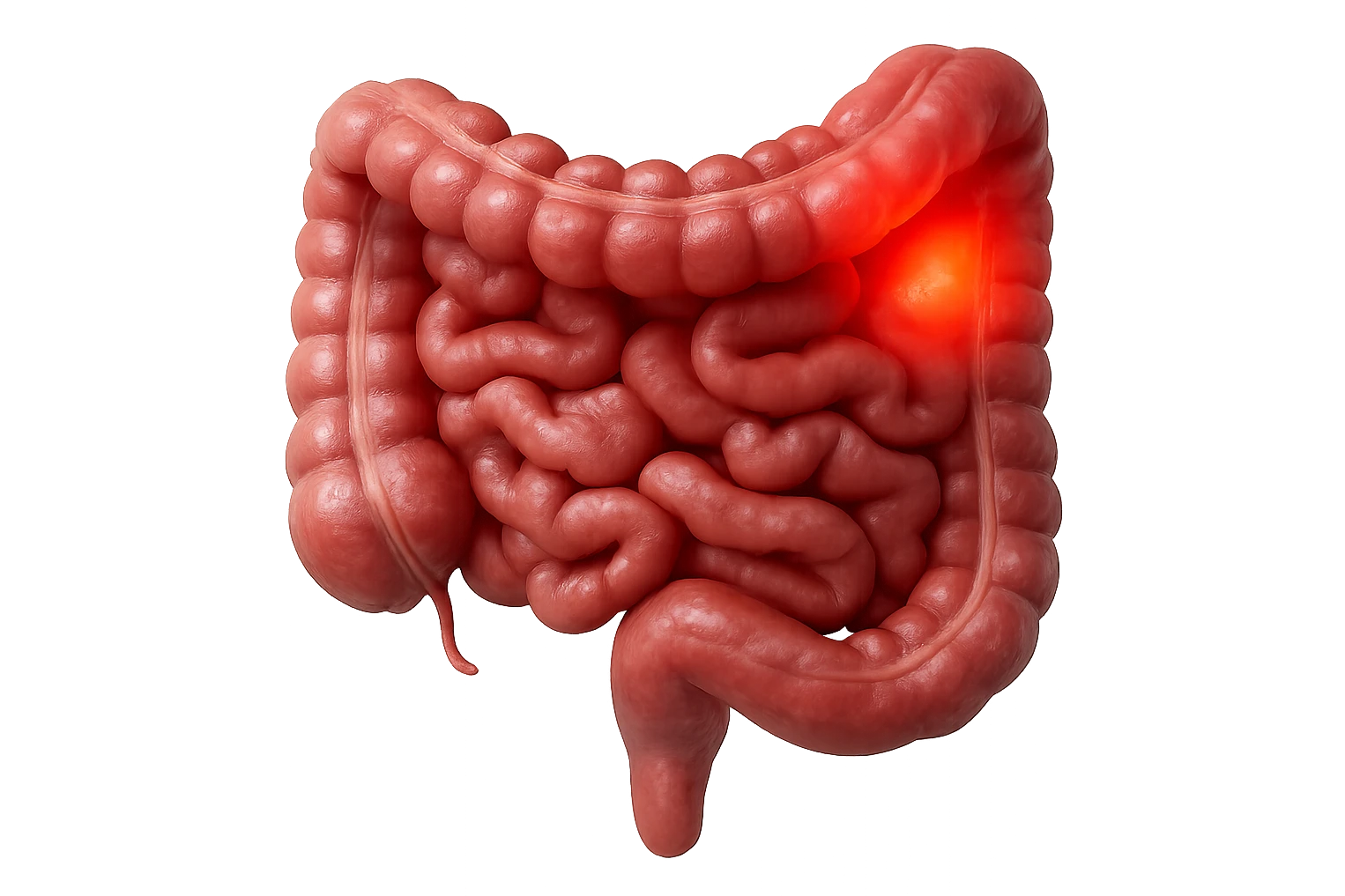 CISTIFELLEA E INTESTINO SONO COLLEGATI NEL DOLORE, SENZA SCRITTE E L'INTESTINO FALLO PERFETTO E REALISTICO, NON DISEGNATO iperrealistico 4k emoji