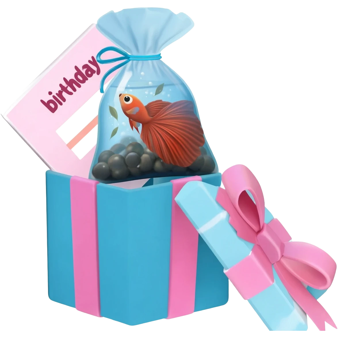 birthday gift box put a  box in pink and blue strap put a betta fish bag and a betta fish inside of the betta fish bag in birthday gift box and a birthday card by-side the gift emoji