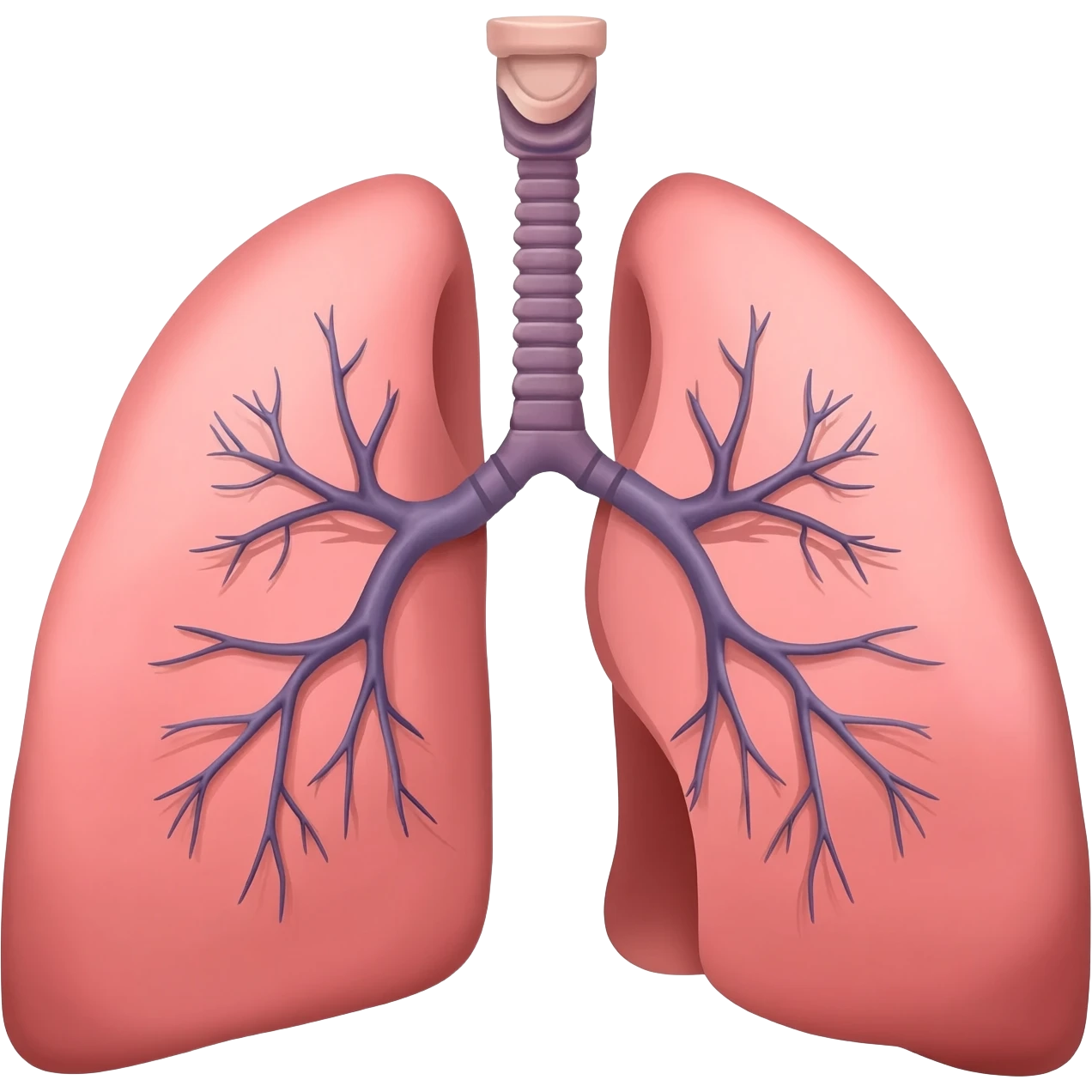 Pulmones humanos emoji