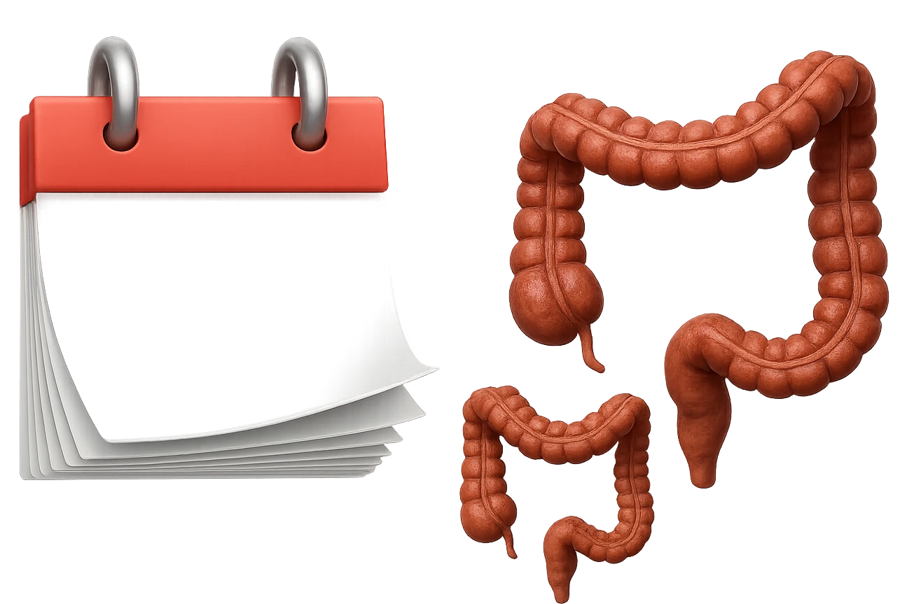 emoji stile iphone di un calendario con fogli che volano insieme a pezzi anatomici di colon umano, iperrealistico 4k, isolato su sfondo bianco emoji
