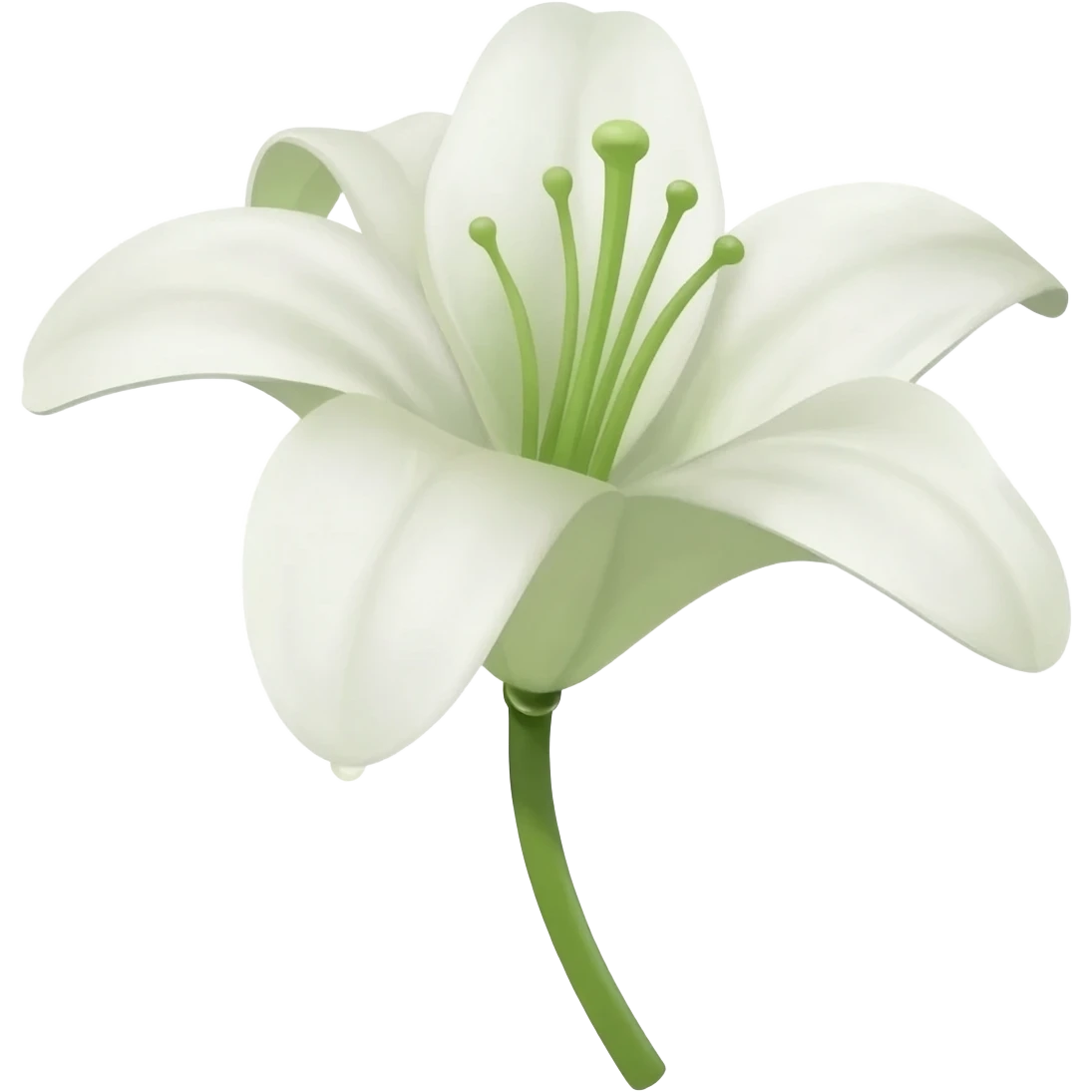 Uma flor de lírio branca emoji