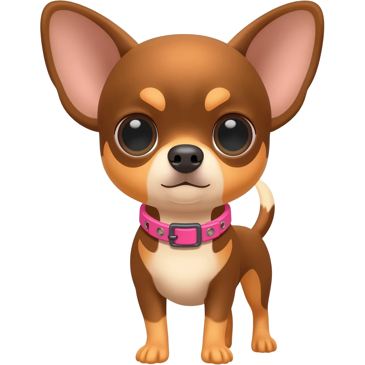 Little cute brown and tan applehead chihuahua with a pink motorcycle collar emoji