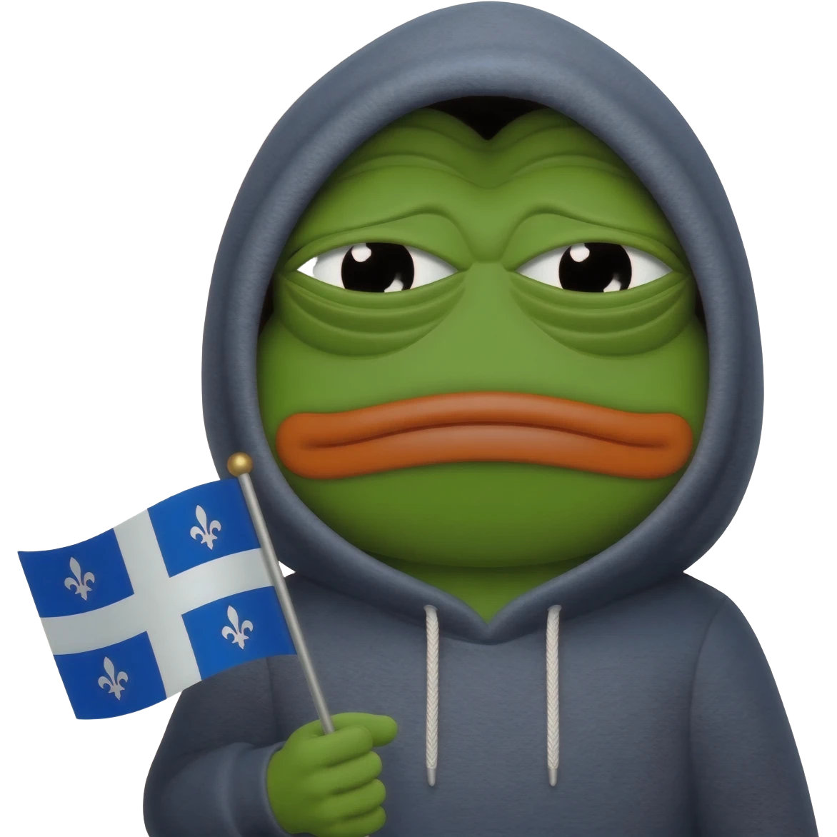 sad pepe in hoodie on the head with quebec flag emoji