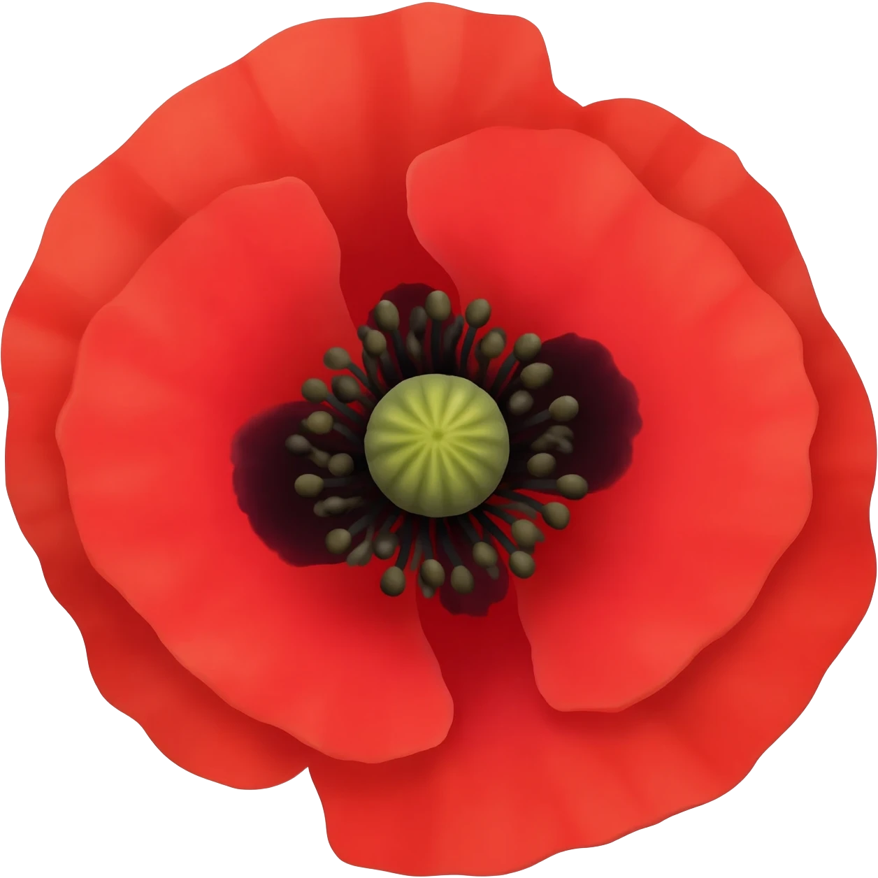 Poppy flower emoji