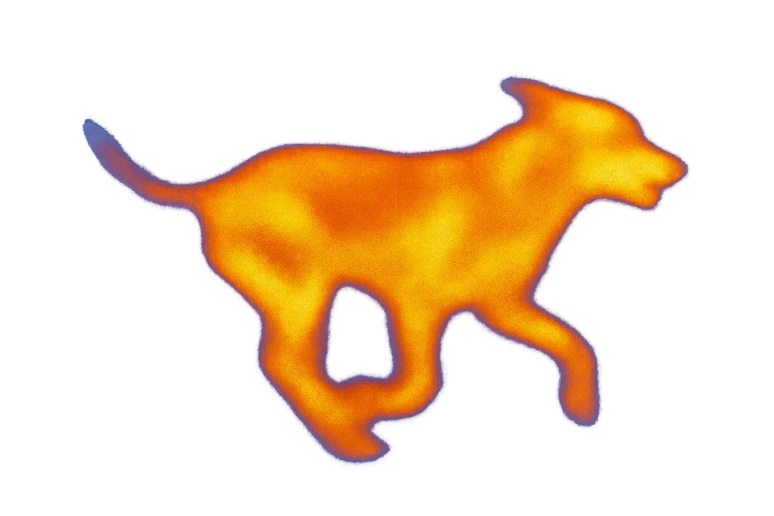 a dog running, thermal camera style, dynamic heatmap effect, no background emoji