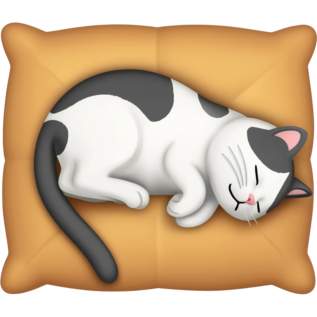 napy  cat emoji