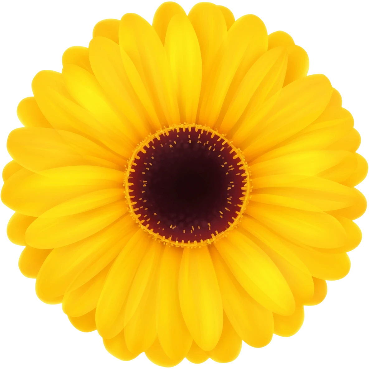 gerbera flower emoji