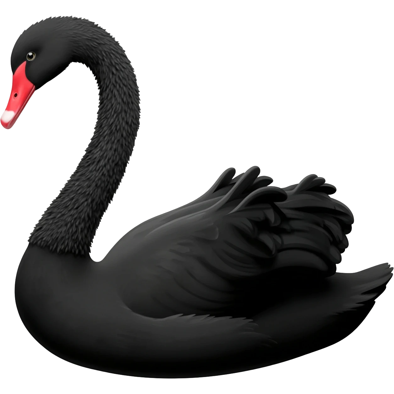 um cisnei preto emoji