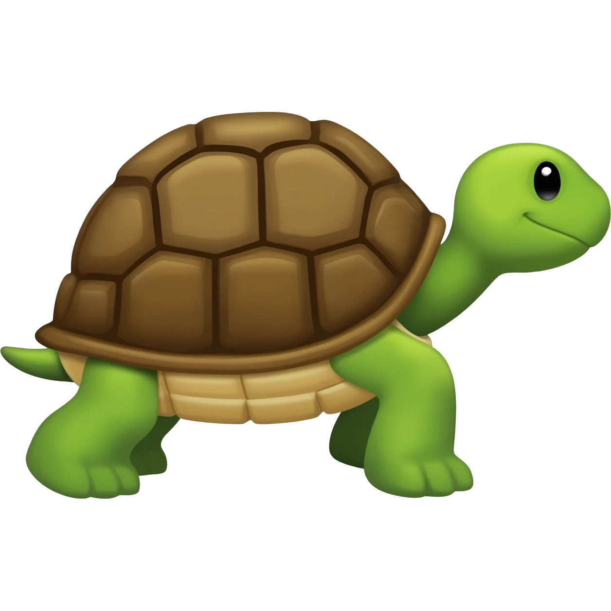 Turtle mexic emoji