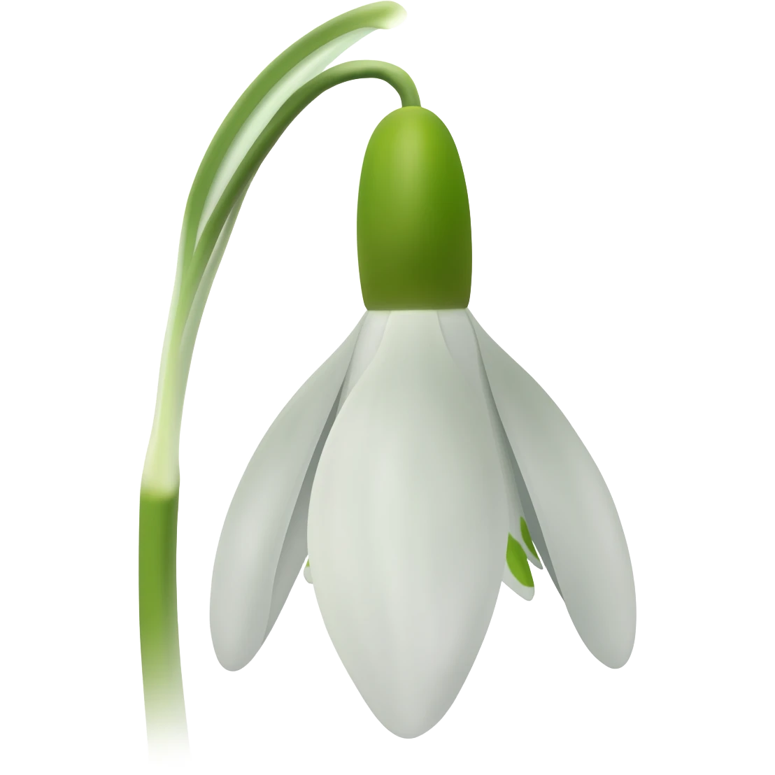 snowdrop emoji
