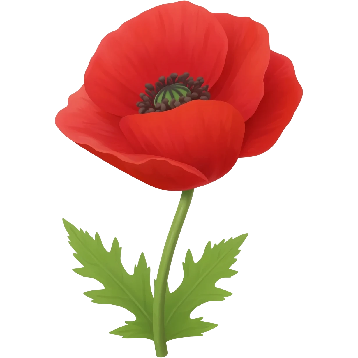 Poppy flower emoji
