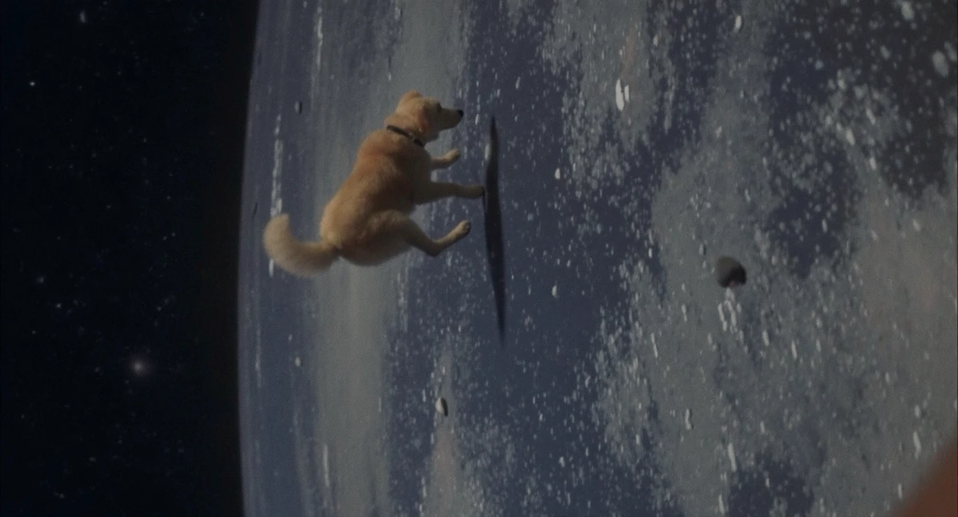 dog is in space emoji