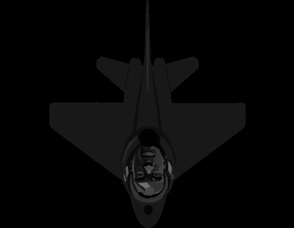 change the angle to be from top of the plane, ortographic 2d emoji