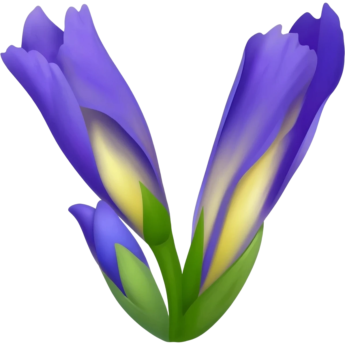 БУКВА V С ИРИСАМИ emoji