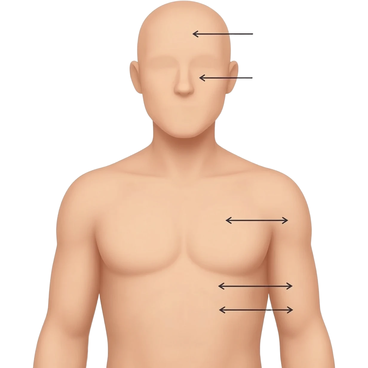complete human body with skin, front view, The body appears standing, Add arrows pointing and labeling the main parts of the body: Head, Trunk and Extremities (arms and legs). emoji