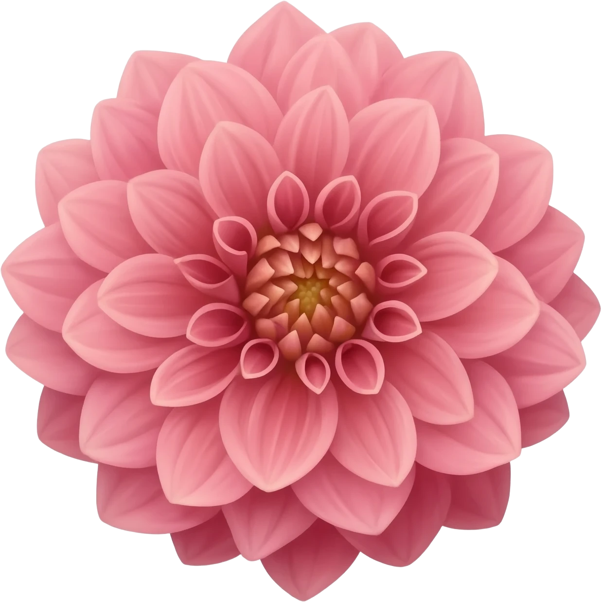 Dahlia flower emoji
