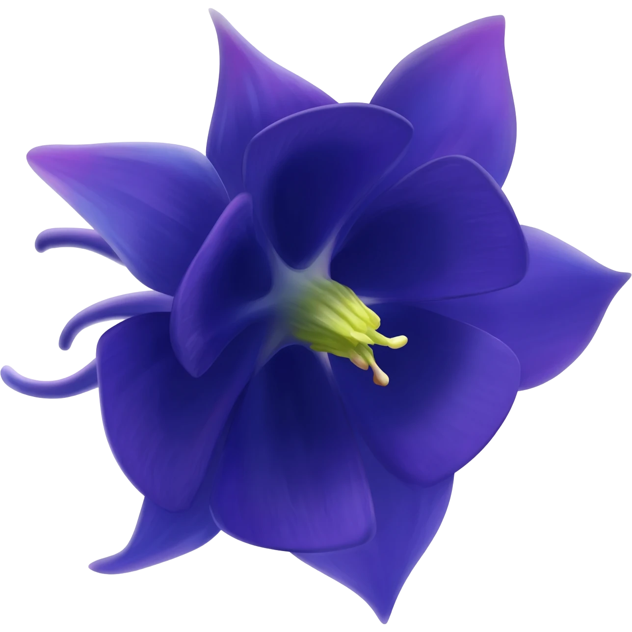 I said Columbine (flower) in Navy rich royal blue shade. No leaves. No other color emoji