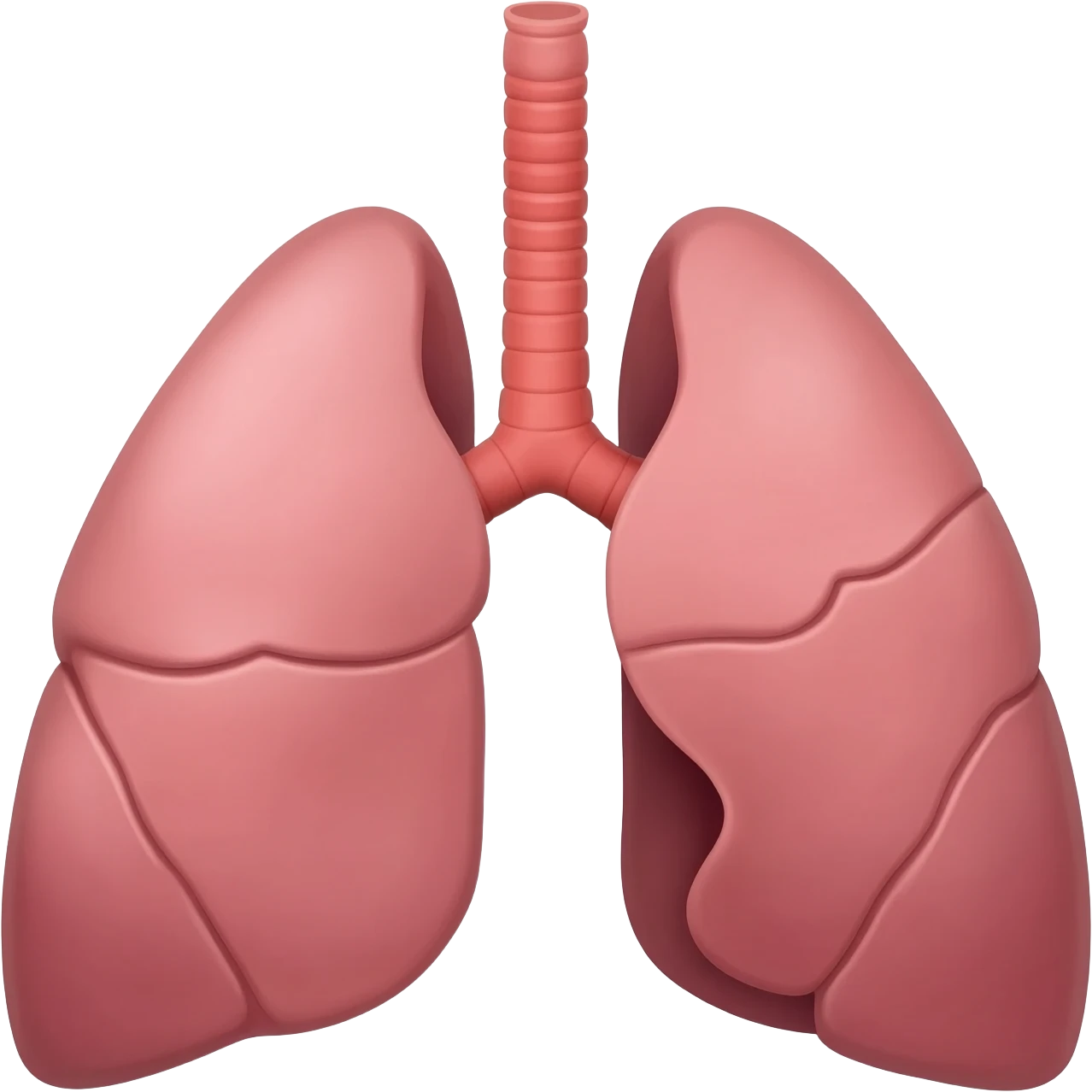 Pulmones humanos emoji