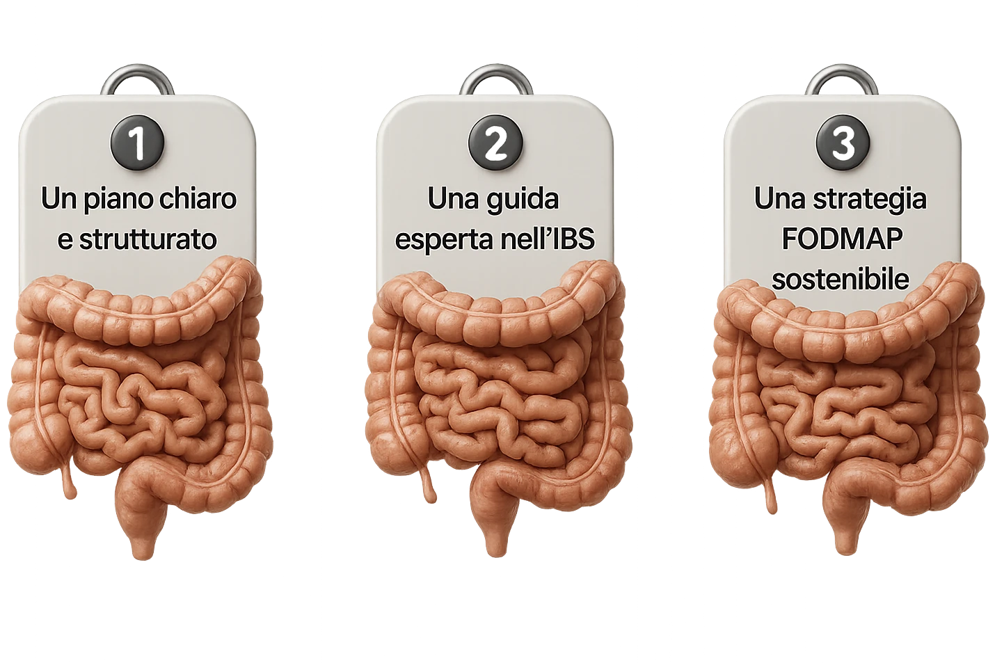 emoji stile iphone di 3 targhette numerate con intestino realistico davanti ad ogni targhetta, le targhette sono:
"1 – Un piano chiaro e strutturato
2 – Una guida esperta nell’IBS
3 – Una strategia FODMAP sostenibile"
, iperrealistico 4k emoji