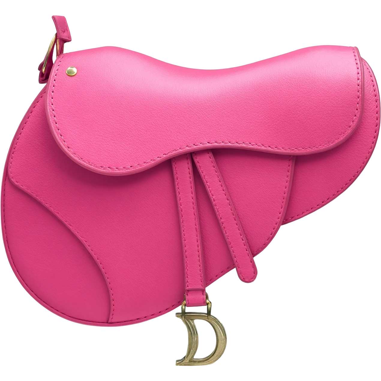 dior pink saddle bag emoji