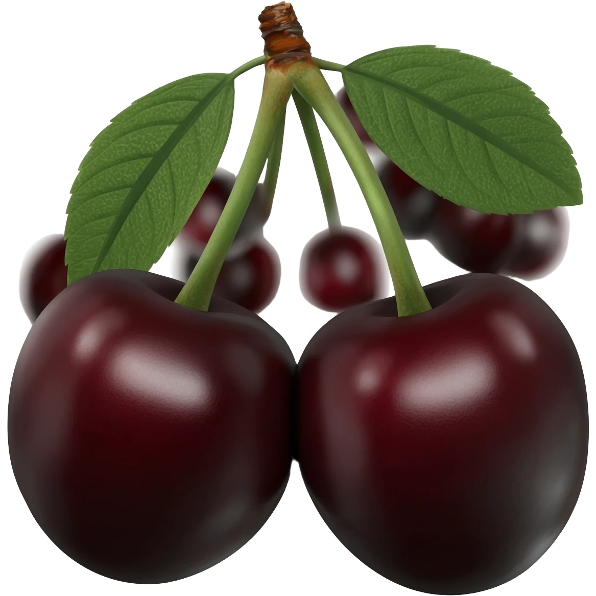 i want dark cherries with black emoji