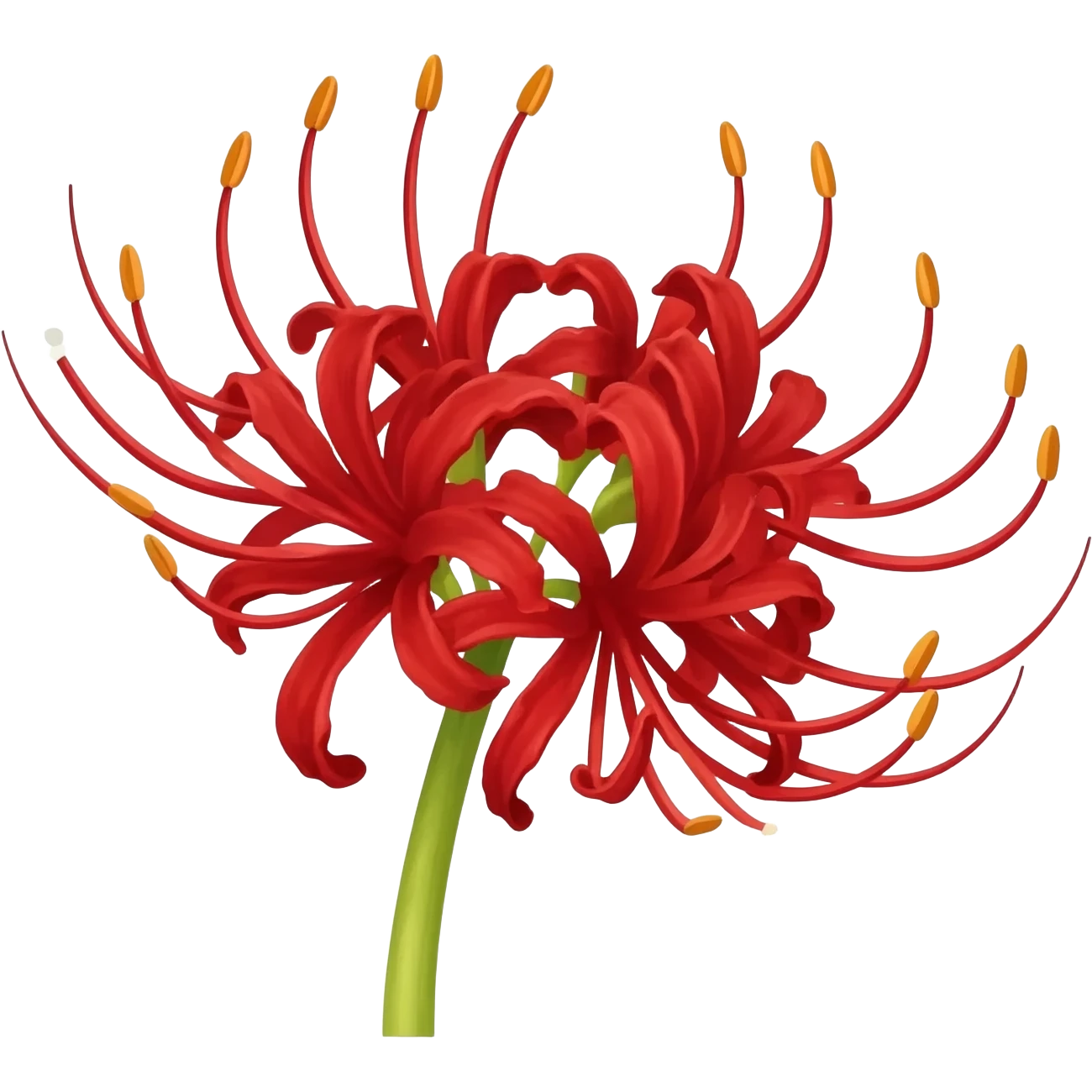 Red spider Lilly emoji