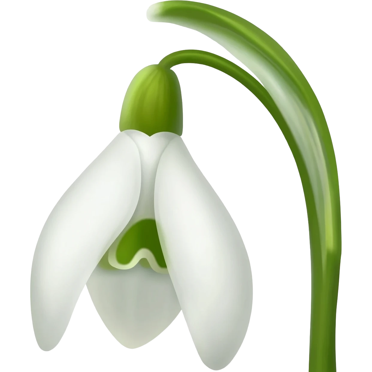 Snowdrops emoji
