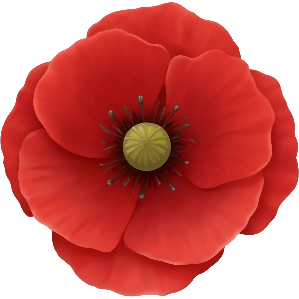 red poppy flower emoji