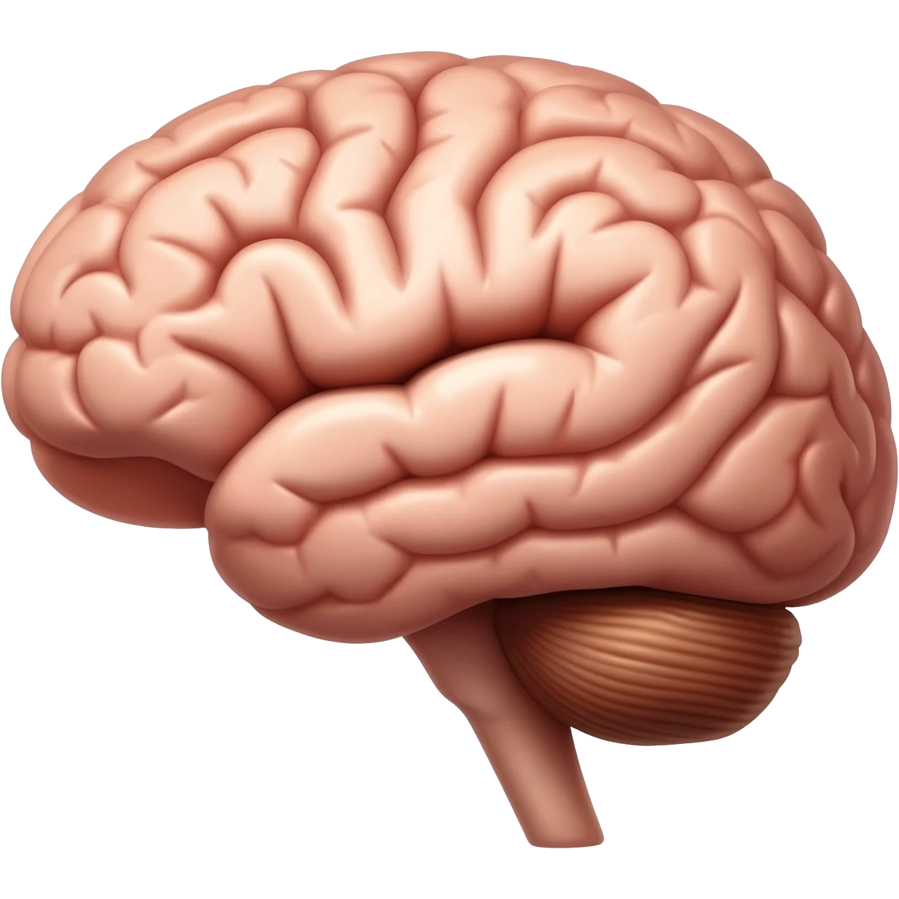 Créame una imagen de cerebro que sea muy real emoji
