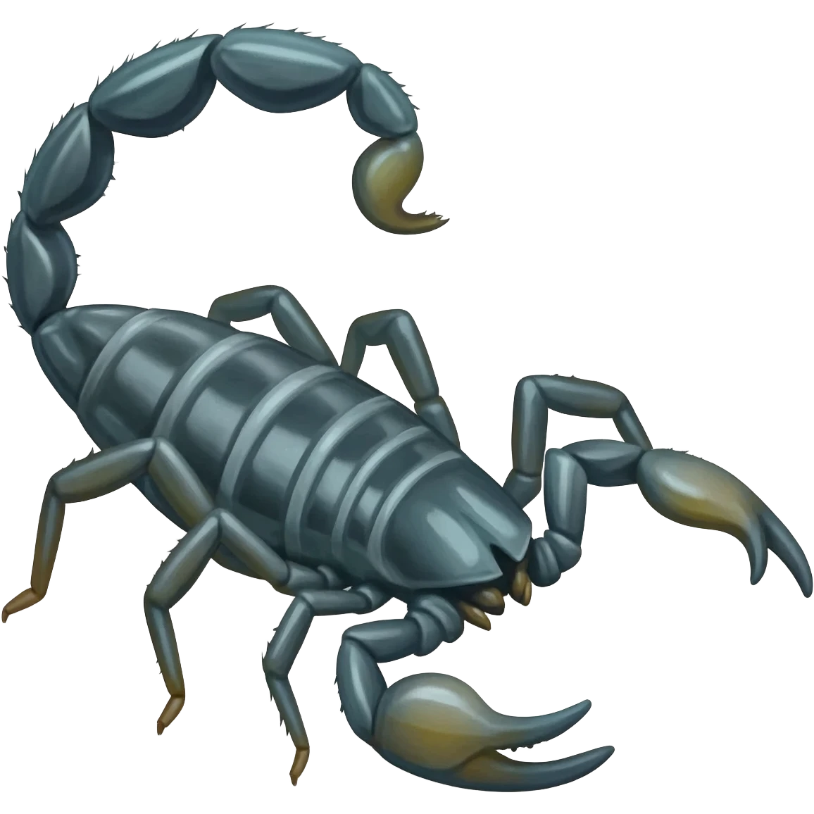 scorpion emoji