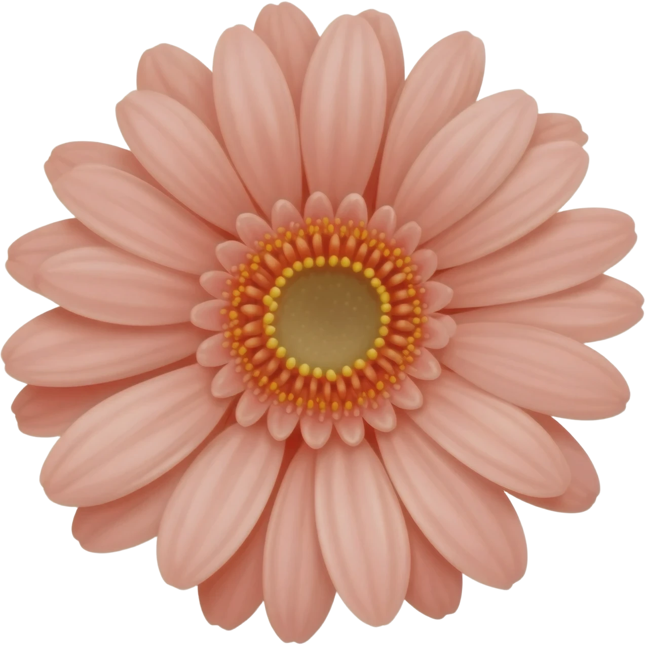 Gerbera emoji