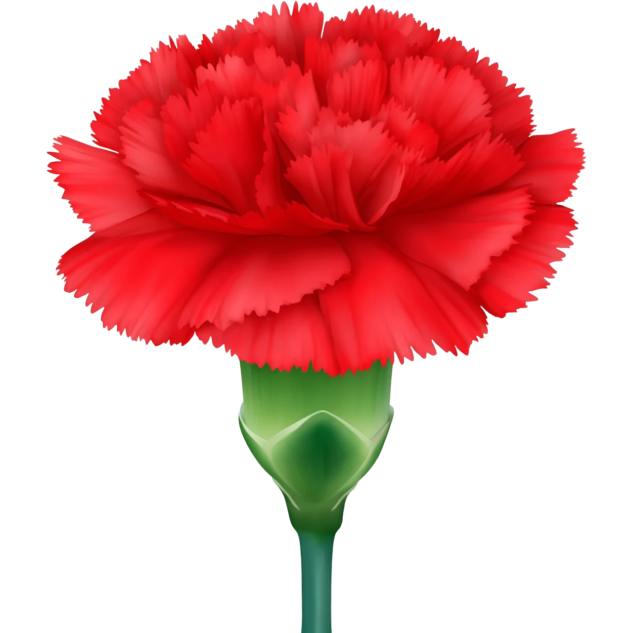 carnation flower emoji