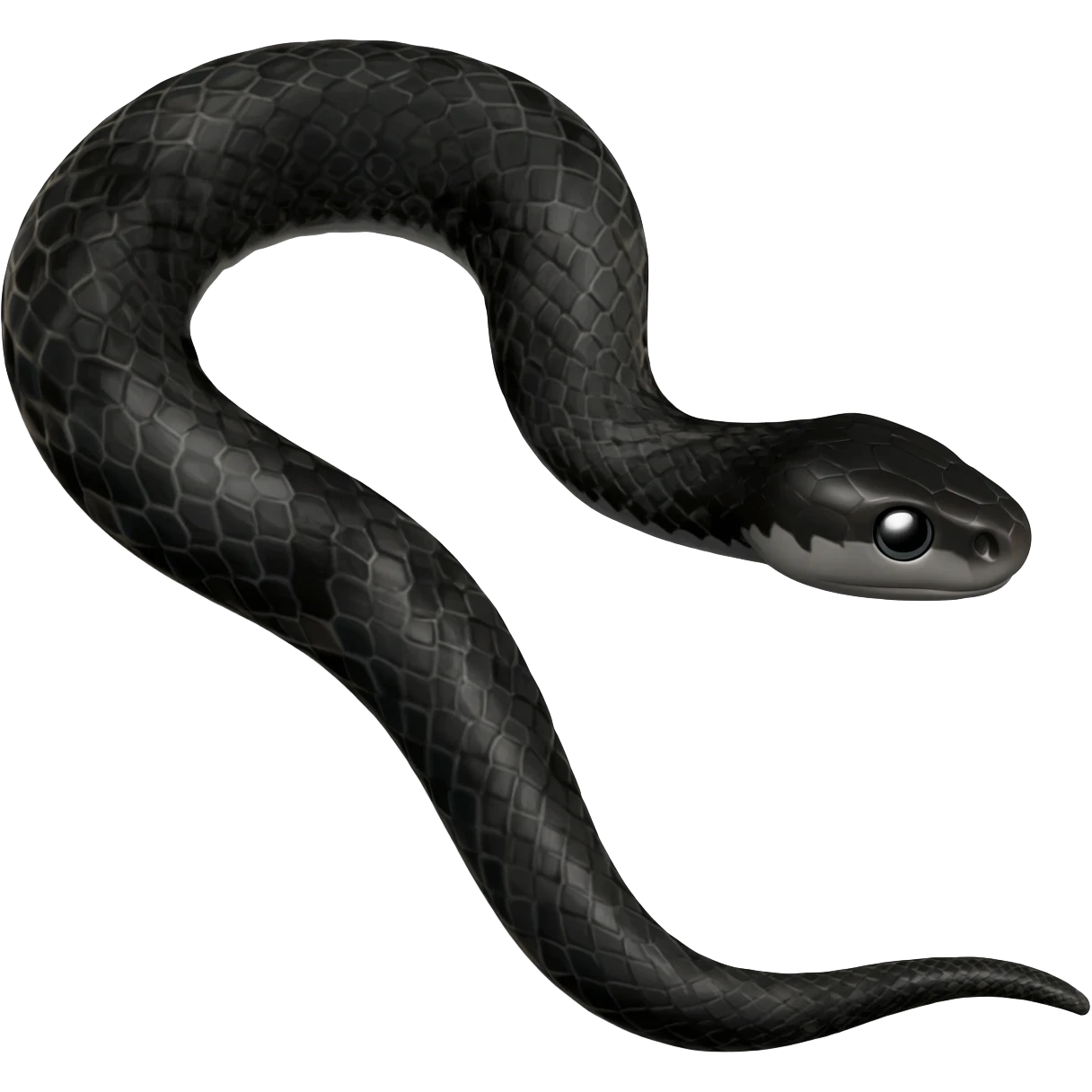 Black snake emoji