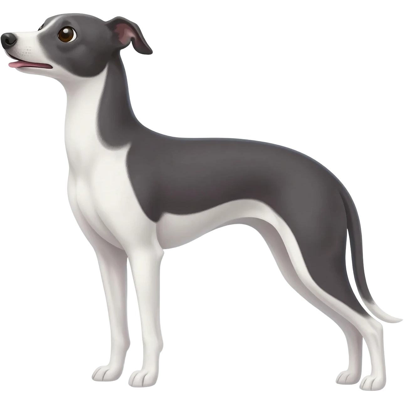 Italian greyhound  emoji