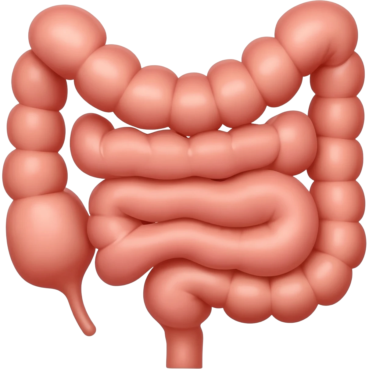 intestines emoji