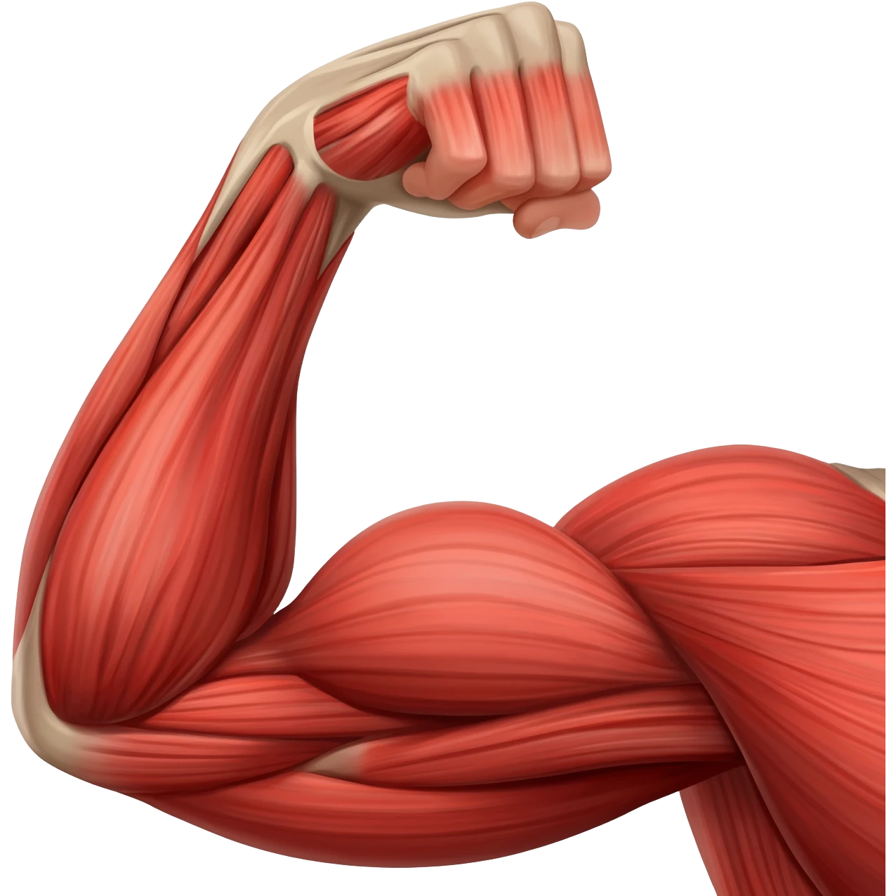 muscle emoji